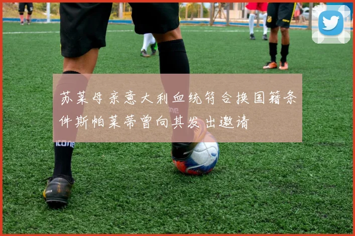 苏莱母亲意大利血统符合换国籍条件斯帕莱蒂曾向其发出邀请