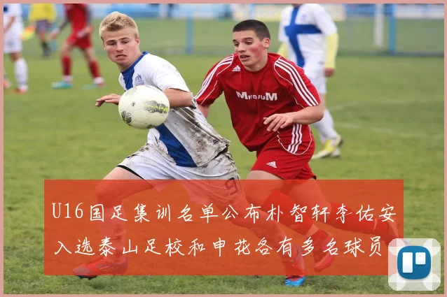U16国足集训名单公布朴智轩李佑安入选泰山足校和申花各有多名球员参与