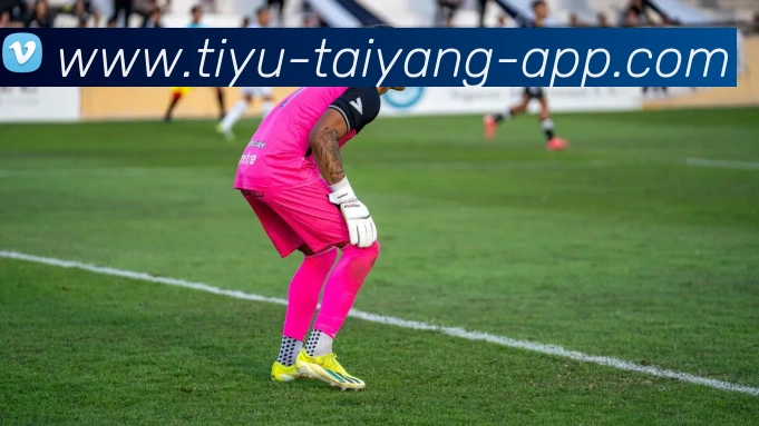 太阳城APP 体育赛事宣传图